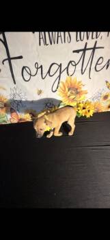 Chug Dogs Available for Adoption in Cottonwood, California - Nelly Jean | PetCurious