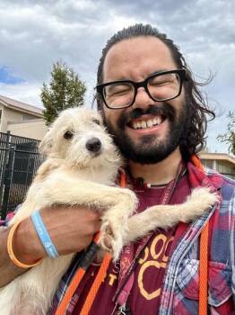 Pancake -  Mixed Breed Dog for Adoption in Wichita, Kansas - Pancake | PetCurious