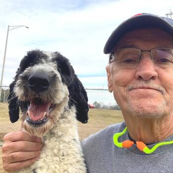 Mixed Breed Dogs Available for Adoption - Moe (Baxter) | PetCurious