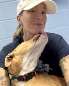 Merida -  Mixed Breed Dog for Adoption in Chamblee, Georgia - Merida | PetCurious
