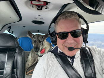 Rescue German Shepherd Dog Dogs for Adoption in Baltimore, Maryland - Remi | PetCurious