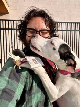 Mixed Breed Dogs Available for Adoption in Wichita, Kansas - Milo | PetCurious