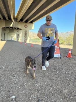 Duke -  Pit Bull Terrier and Mixed Breed Dog for Adoption in El Paso, Texas - Duke | PetCurious