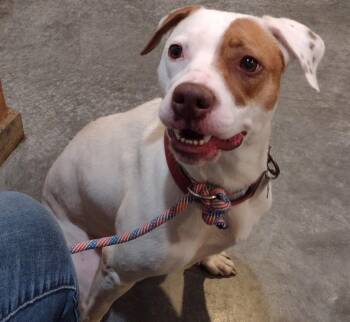 KEKE Fostering in Norwalk She