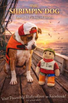 Boxer Dogs Available for Adoption - Forrest | PetCurious