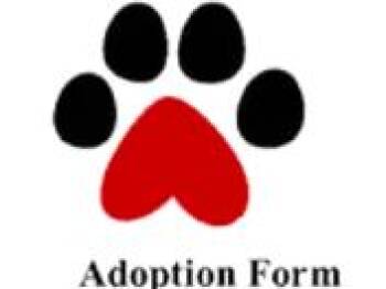 Rescue Mixed Breed Dogs for Adoption in Lemont, Illinois - General Dog Adoption (Please List Name Of Dog On Application) | PetCurious