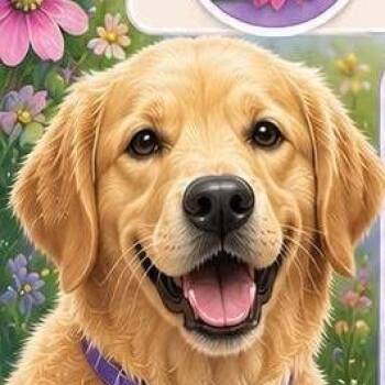 Abby Cadabby -  Mixed Breed Dog for Adoption in Lake Jackson, Texas - Abby Cadabby | PetCurious