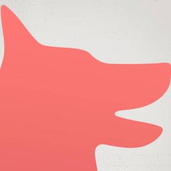 Rescue Hound Dogs for Adoption in Clovis, California - Nala | PetCurious