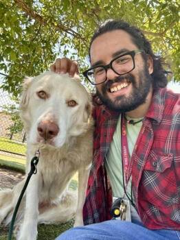 Scam Likely -  Mixed Breed Dog for Adoption in Wichita, Kansas - Scam Likely | PetCurious