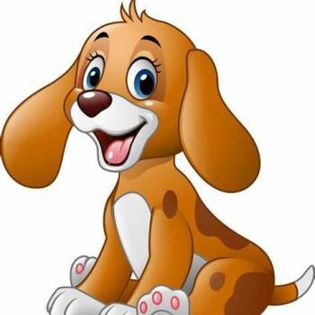 Buzz -  Shih Tzu Dog for Adoption in Lake Jackson, Texas - Buzz | PetCurious
