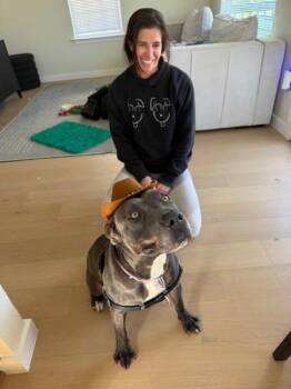 Pit Bull Terrier Dogs Available for Adoption - Chicharrón | PetCurious