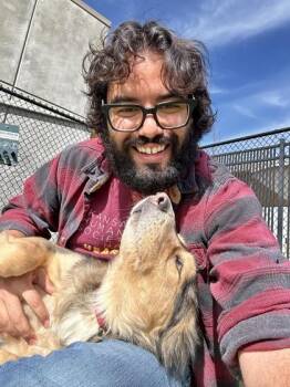 Mixed Breed Dogs Available for Adoption - The Great Bambina | PetCurious