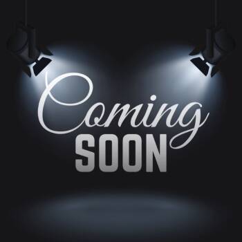 Rescue Australian Shepherd and American Bulldog Dogs for Adoption in Quincy, Florida - Sunshine | PetCurious