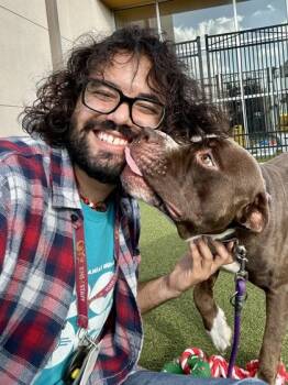 Cupcake -  Mixed Breed Dog for Adoption in Wichita, Kansas - Cupcake | PetCurious