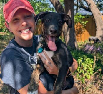 Rescue Catahoula Leopard Dog Dogs for Adoption in Manchaca, Texas - Sherman | PetCurious