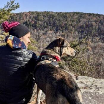 Cola -  Shepherd and Mountain Cur Dog for Adoption in Leesburg, Alabama - Cola | PetCurious