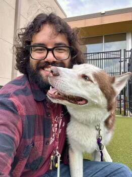 Mixed Breed Dogs Available for Adoption in Wichita, Kansas - Wolfie | PetCurious