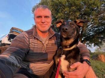 Mixed Breed Dogs Available for Adoption in Fort Worth, Texas - Hobbs | PetCurious