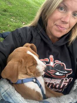 Rescue Mixed Breed Dogs for Adoption in Gulf Breeze, Florida - Baby Ben | PetCurious