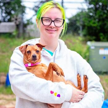 Chloe Nicole -  Miniature Pinscher and None Dog for Adoption in Hattiesburg, Mississippi - Chloe Nicole | PetCurious