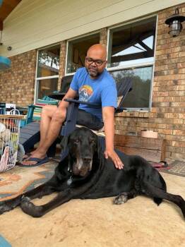 Knox -  Mixed Breed and Labrador Retriever Dog for Adoption in Austin, Texas - Knox | PetCurious