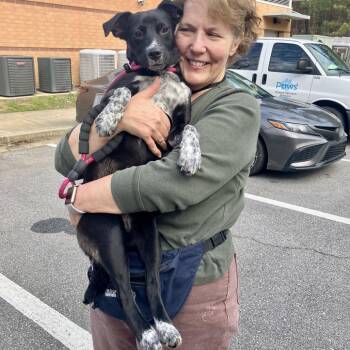 Mixed Breed Dogs Available for Adoption - Liona | PetCurious