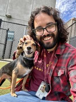 PeeWee -  Mixed Breed Dog for Adoption in Wichita, Kansas - PeeWee | PetCurious
