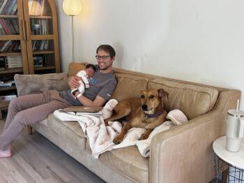 Gracie -  Black Mouth Cur and Hound Dog for Adoption in Mico, Texas - Gracie | PetCurious