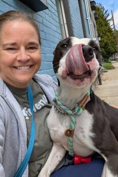 Canon -  Mixed Breed Dog for Adoption in Cincinnati, Ohio - Canon | PetCurious