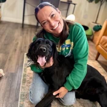 Jetty Boy the Couch Snuggler and Tiny Dog Lover -  Labrador Retriever and Black Labrador Retriever Dog for Adoption in Friendswood, Texas - Jetty Boy The Couch Snuggler And Tiny Dog Lover | PetCurious