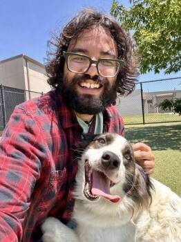 Prudence -  Mixed Breed Dog Available for Adoption in Wichita, Kansas - Prudence | PetCurious