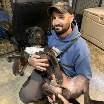 Rescue Mixed Breed Dogs for Adoption in Bangall, New York - Nemo | PetCurious