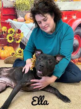 Rescue Mixed Breed Dogs for Adoption in Flint, Michigan - Ella | PetCurious