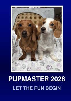 Dachshund Dogs Available for Adoption in Morrisville, Pennsylvania - Levi & Maddi | PetCurious