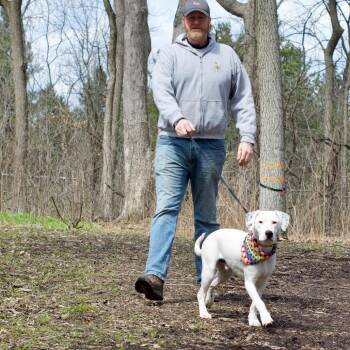 Dr. Pepper -  Mixed Breed Dog for Adoption in Riverwoods, Illinois - Dr. Pepper | PetCurious