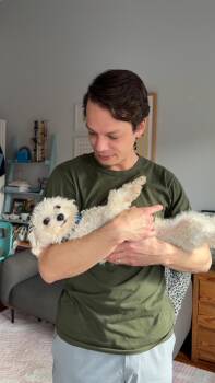 Mohair -  Mixed Breed Dog for Adoption in Alexandria, Virginia - Mohair | PetCurious