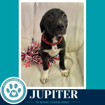 Jupiter (Xena