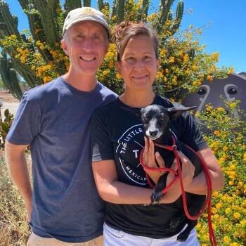 Selfie -  Dachshund Dog for Adoption in Ramona, California - Selfie | PetCurious