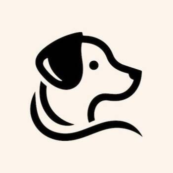 Beau -  Doberman Pinscher and Poodle Dog for Adoption in Columbus, North Carolina - Beau | PetCurious