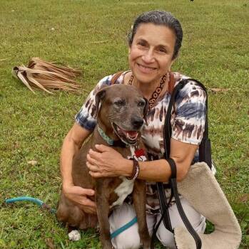 Rescue Greyhound Dogs for Adoption in Port Orange, Florida - Meagan (mom Dying Cancer) *Video* (gentle Soul) | PetCurious