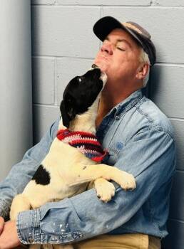 Bonnie $25 -  Great Pyrenees and Mixed Breed Dog for Adoption in Seneca, South Carolina - Bonnie $25 | PetCurious