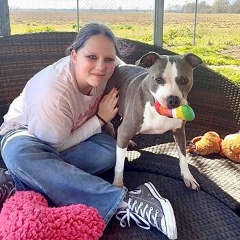 Lil Bit -  Bulldog and Boston Terrier Dog for Adoption in Tunica, Mississippi - Lil Bit | PetCurious