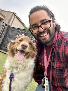 Mixed Breed Dogs Available for Adoption in Wichita, Kansas - Duck, Duck, Goose | PetCurious