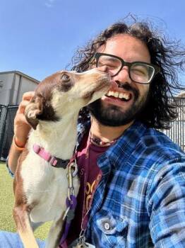 Whimsy -  Mixed Breed Dog for Adoption in Wichita, Kansas - Whimsy | PetCurious