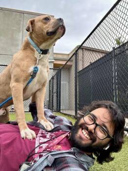 Mo-Man -  Mixed Breed Dog for Adoption in Wichita, Kansas - Mo-Man | PetCurious