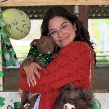 American Staffordshire Terrier Dogs Available for Adoption - Cici | PetCurious