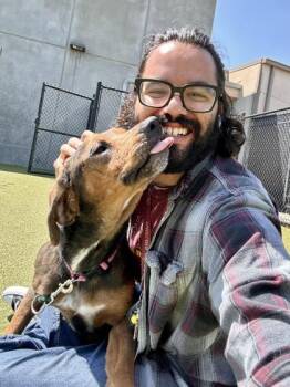 Fried Ice Cream -  Mixed Breed Dog for Adoption in Wichita, Kansas - Fried Ice Cream | PetCurious
