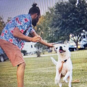 Rescue Mixed Breed Dogs for Adoption in Cleveland, Texas - Micha | PetCurious