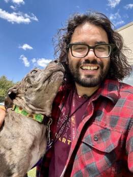 Kash (FOSTER TO ADOPT) -  Mixed Breed Dog for Adoption in Wichita, Kansas - Kash (FOSTER TO ADOPT) | PetCurious