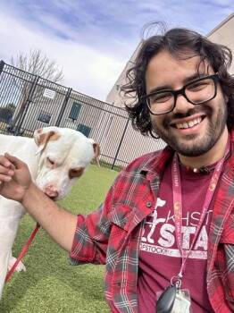 Mixed Breed Dogs Available for Adoption - Diamond | PetCurious